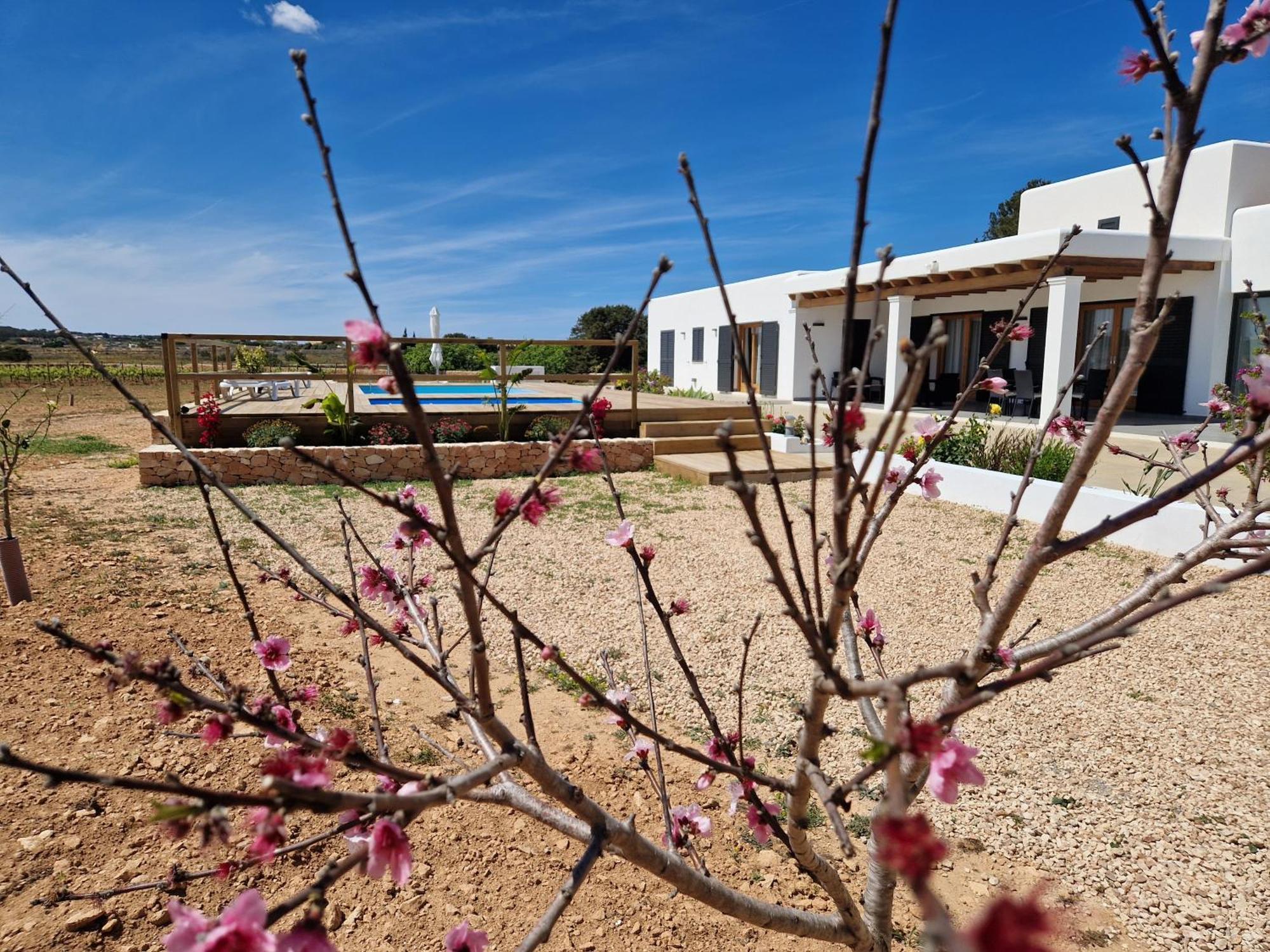 Ses Vinas De Cas Baixero Villa La Mola Bagian luar foto